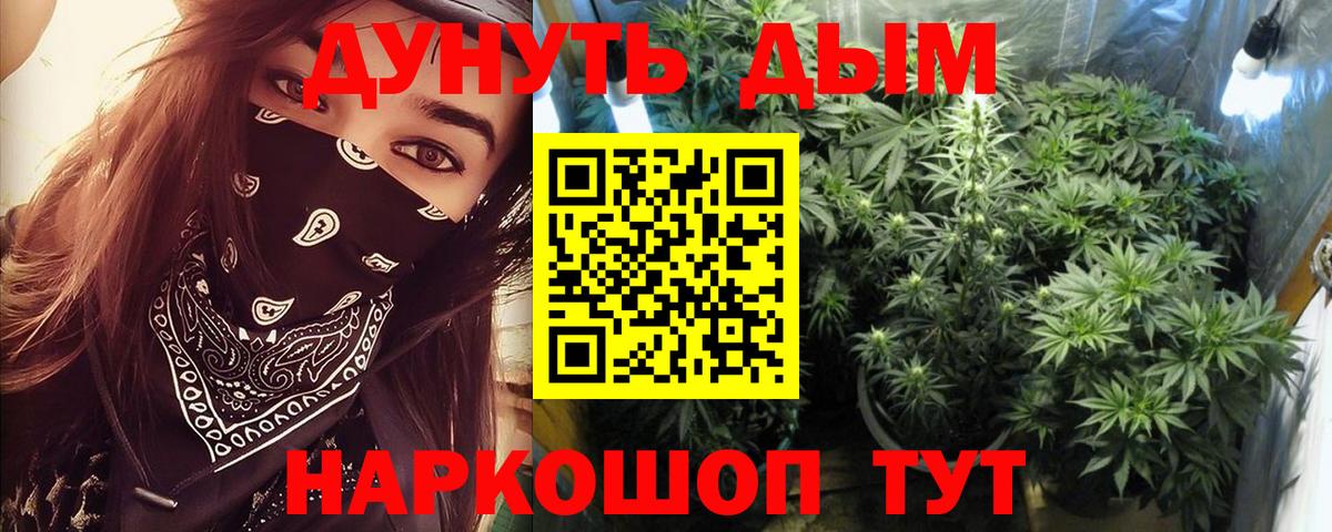 Бошки Шишки ГИДРОПОН  Канабис AK-47  Елабуга  Бошки Шишки марихуана  Вход с VPN 